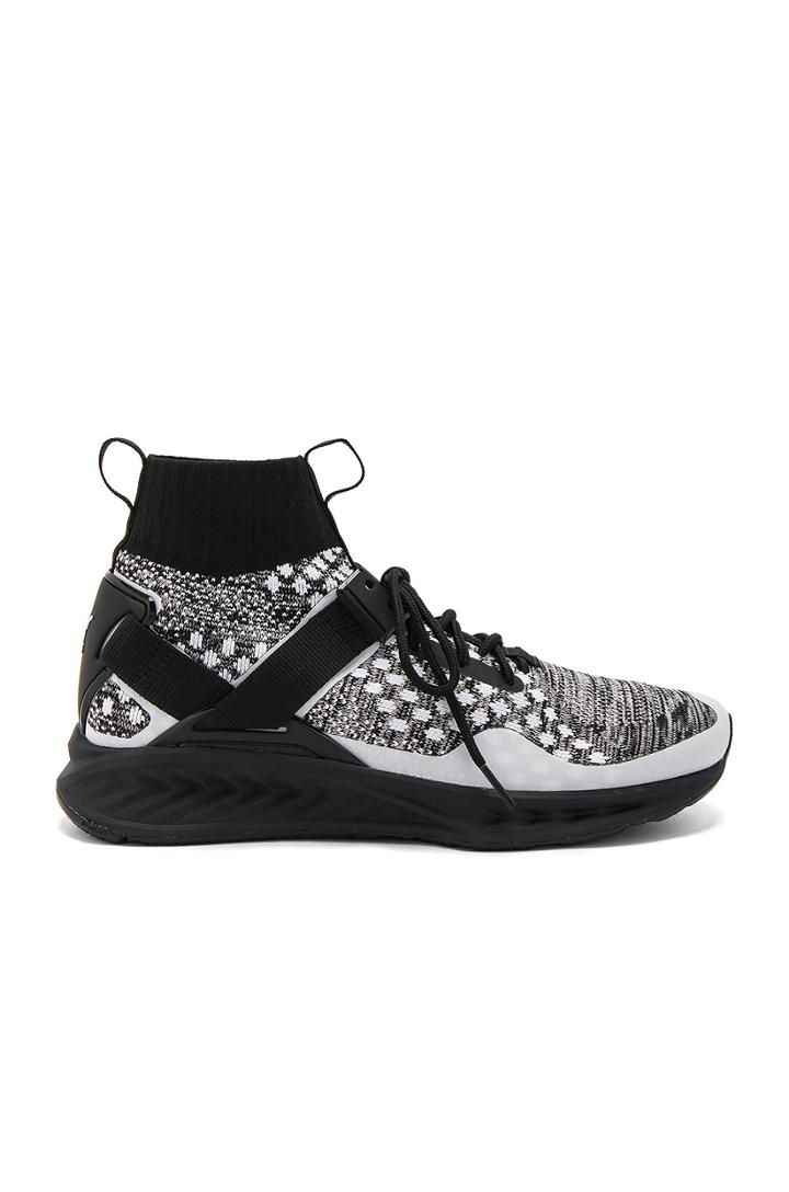 X Staple Ignite Evoknit