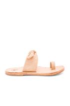 Lory Slide