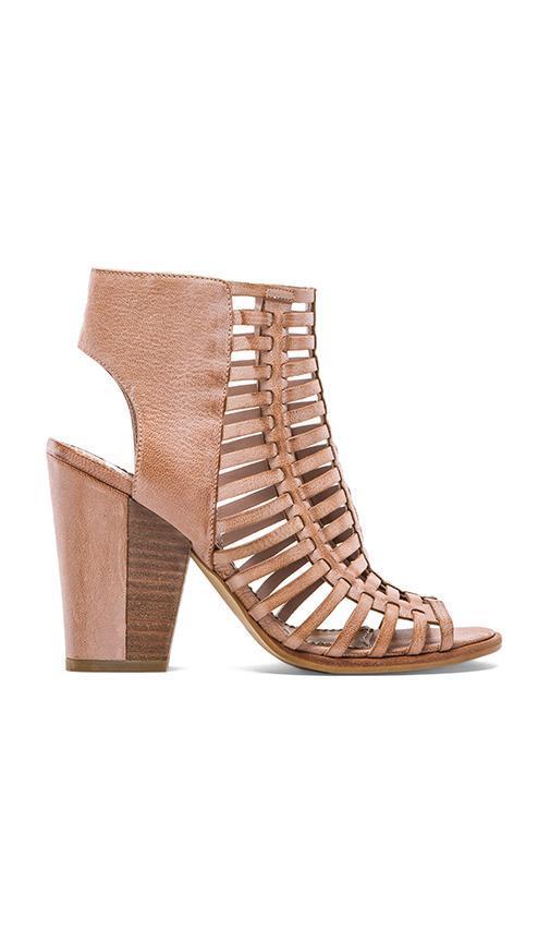 Dv By Dolce Vita Pinko Bootie In Tan