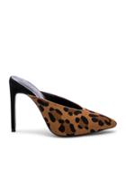 Jace Heel