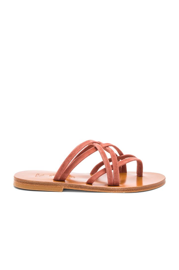 Aloes Sandal