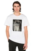 Kissen Tee