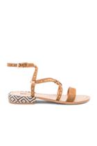 Sensei Sandal