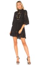 Victorian Embroidered Mini Dress