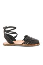 The Parakeet Sandal