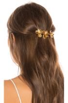 Pansy Barrette
