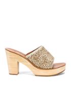 Ficus Sandal