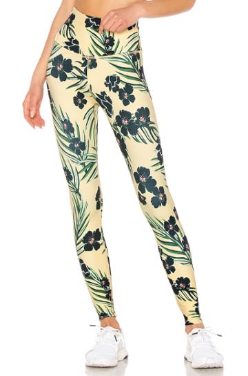 Olympus High Waisted Legging