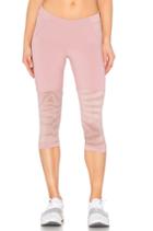 Studio Zebra 3/4 Tight