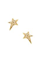 Lucky Star Stud Earring