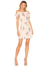 Ivie Embroidered Dress