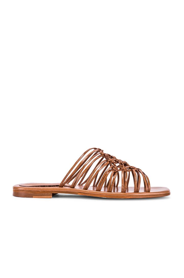 Emersyn Mule