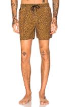 Prince Boardshort