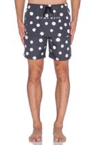 Large Polka Trunks