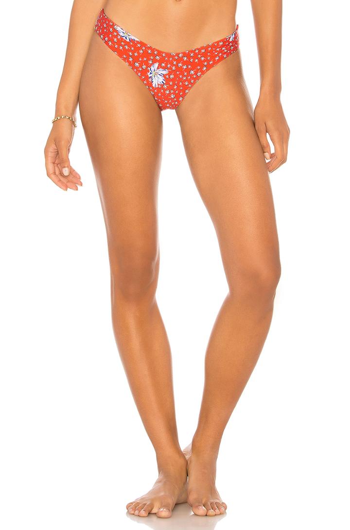 Danielle Bottom