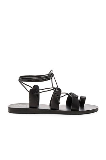 Alcyone Sandal