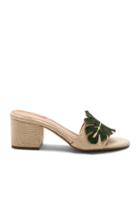 Lacie Mule