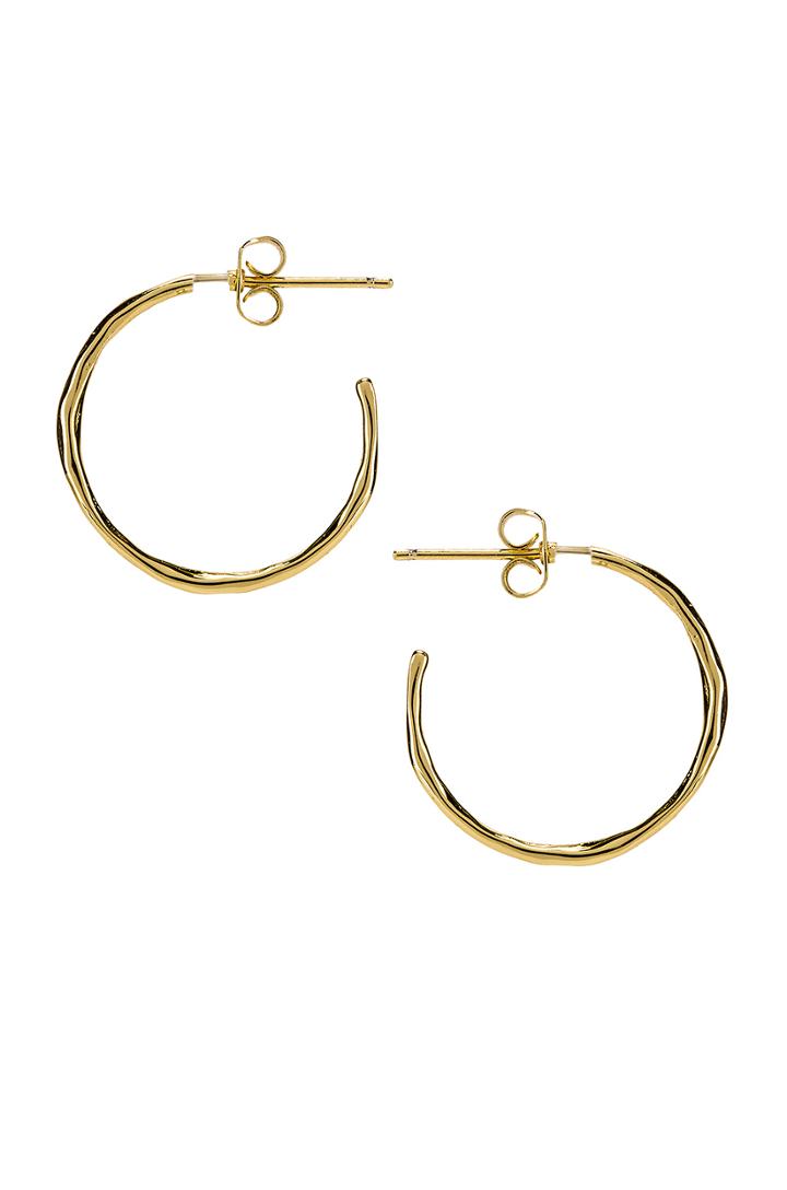 Taner Small Hoop Earrings