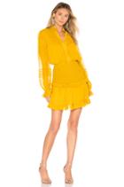 X Revolve Shaina Dress