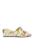 Stephena Mule