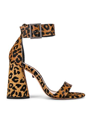 Pepita Heel