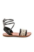 Toucan Sandal