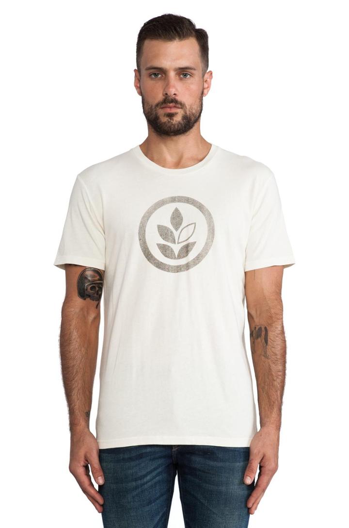 Logo Tee