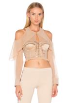Mesh Bustier Top