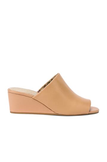 Vendor Wedge