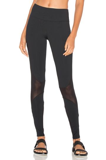 Disect Legging