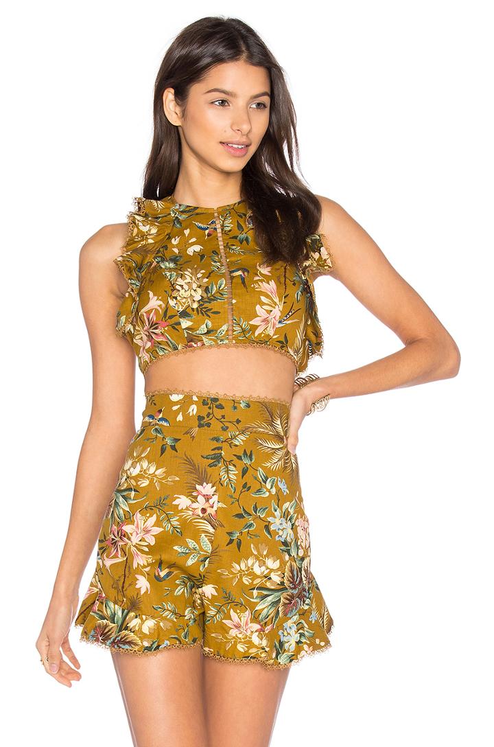 Tropicale Flutter Tank