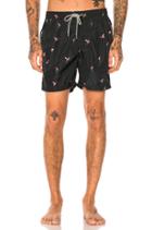 Swim Shorts