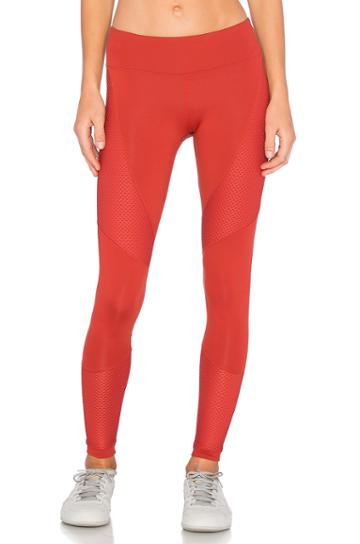 Sector Legging