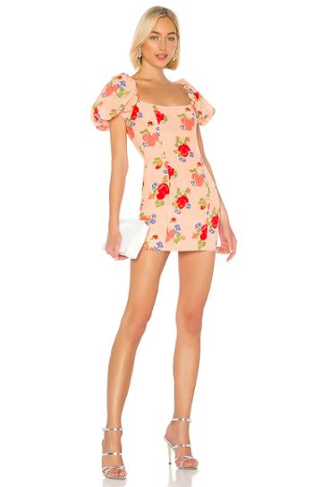 Koko Dress