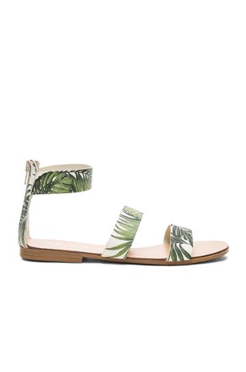 Nikita Sandal
