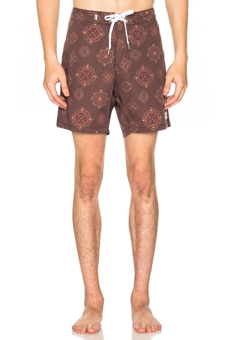 Tallows Trunk