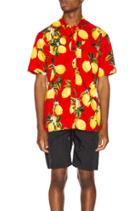 Ezar Button Up Shirt