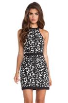 Winter Birds Dress