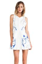 Runaway Dress