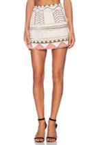 Party Mini Skirt