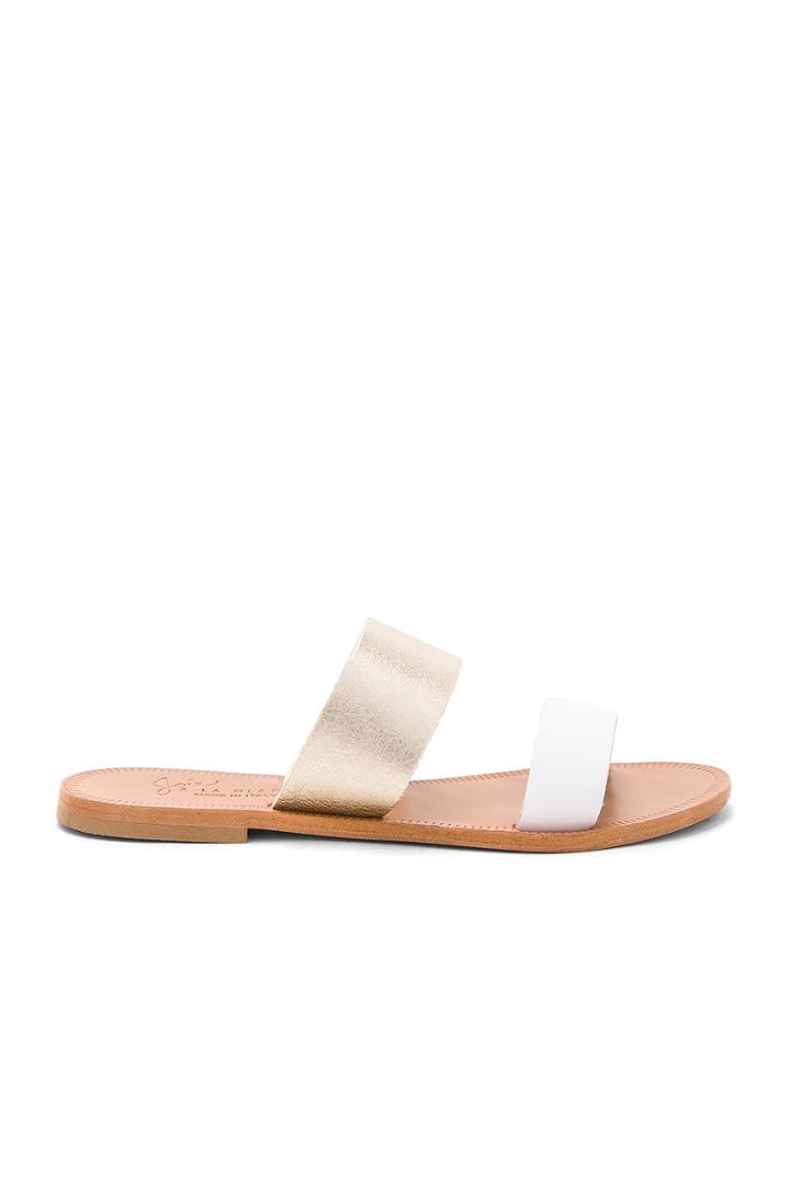 Sadie Slide