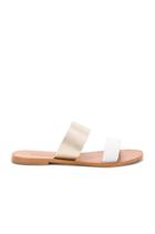 Sadie Slide