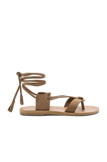 Pantem Sandal