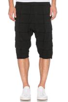 Shoreline Shorts