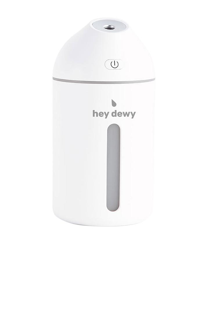 Portable Facial Humidifier