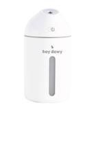 Portable Facial Humidifier