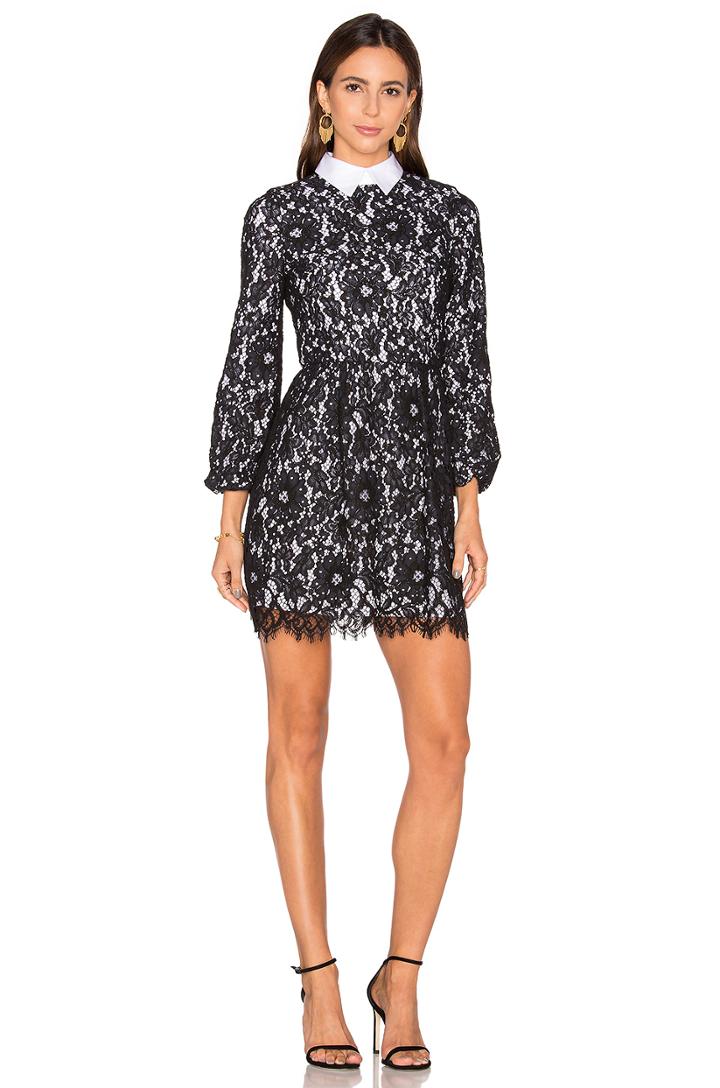 Terisa Fit & Flare Lace Dress