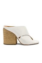 Venas Mule