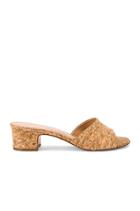 Calypso Heel