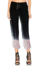 Jaymee Pant